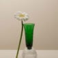 Saint-Louis Crystal Les Endiablés Bubbles Flute | Kneen & Co