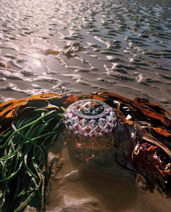 Saint-Louis Crystal Patrimoine Diamantissime Amethyst Vase in the water | Kneen & Co