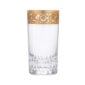 Saint-Louis Crystal Thistle Gold Highball | Kneen & Co