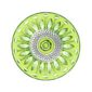 Saint-Louis Crystal Tommy Chartreuse Cocktail Glass | Kneen & Co