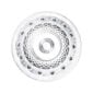 Saint-Louis Crystal Tommy Champagne Coupe | Kneen & Co