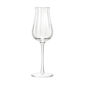 Saint-Louis Crystal Twist 1586 Young Spirits Glass | Kneen & Co