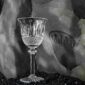 Saint-Louis Crystal Tommy Water Glass | Kneen & Co