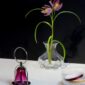 Saint-Louis_apollo_lamp_touraine-vase_1200w_100kb_