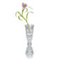 BACCARAT-2815756-White-Background-2-1200x1200-100KB