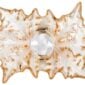 Top-down studio shot featuring the Lalique Champs-Élysées Large Bowl in clear and frosted crystal with a gold luster finish | Kneen & Co