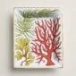 HERMES-NatureMarine-069090P-front-wm-1-1200x1200-100KB