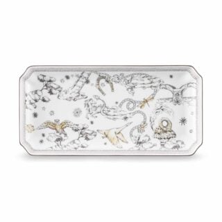 Ginori 1735 Fortunae Porcelain Large Rectangular Tray, goose in flight, horseshoe, and dragonfly illustration with rope border | Kneen & Co
