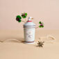 Ginori 1735 Fortunae Porcelain Jar with Goose Lid, celadon apothecary jar with four-leaf clover and sculpted goose with gilded beak | Kneen & Co